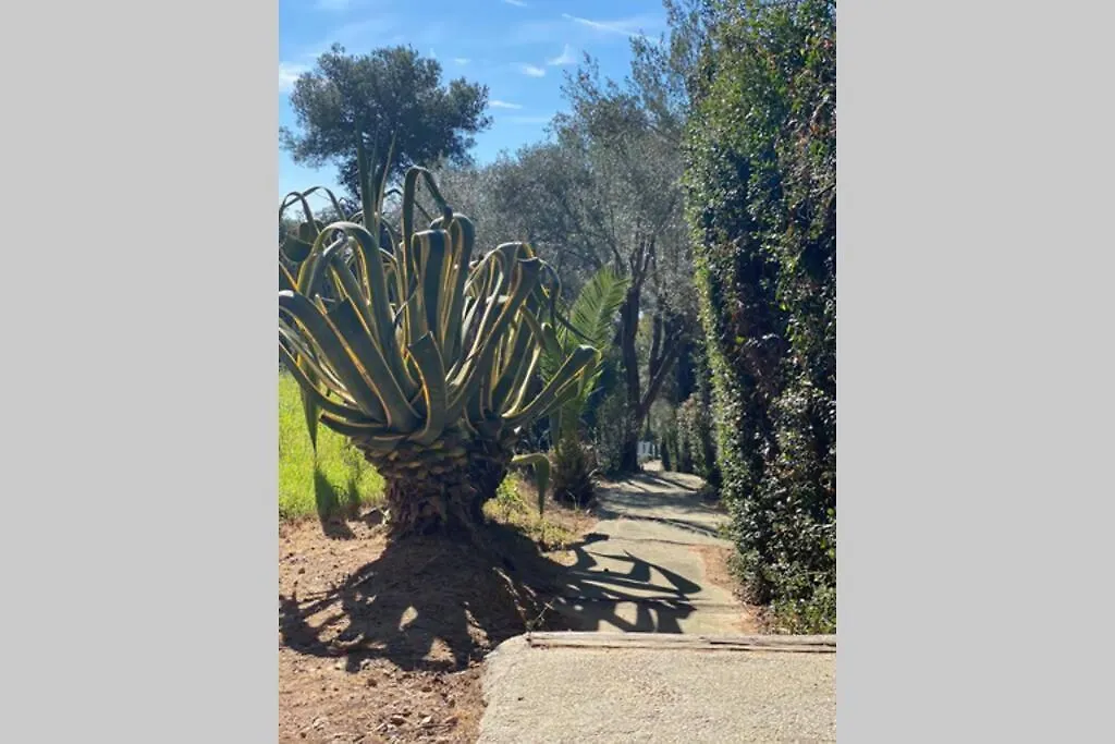 Hyères Appartement + Terrasse Vue Mer Dans Un Parc De 3 Ha 0*,  فرنسا