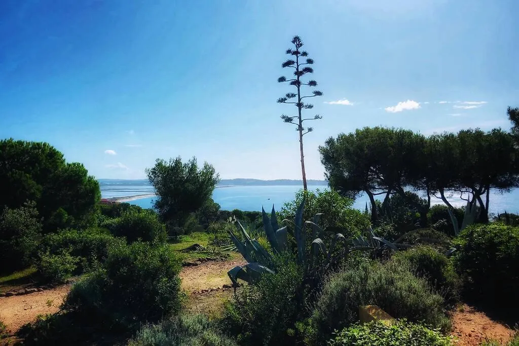 Appartement + terrasse vue mer dans un parc de 3 Ha Hyères
